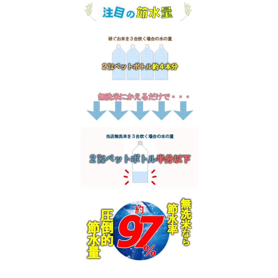 宮崎県産コシヒカリ 5kg×2 無洗米 送料無料 期間限定