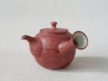 茶壺 金銀彩白山茶花