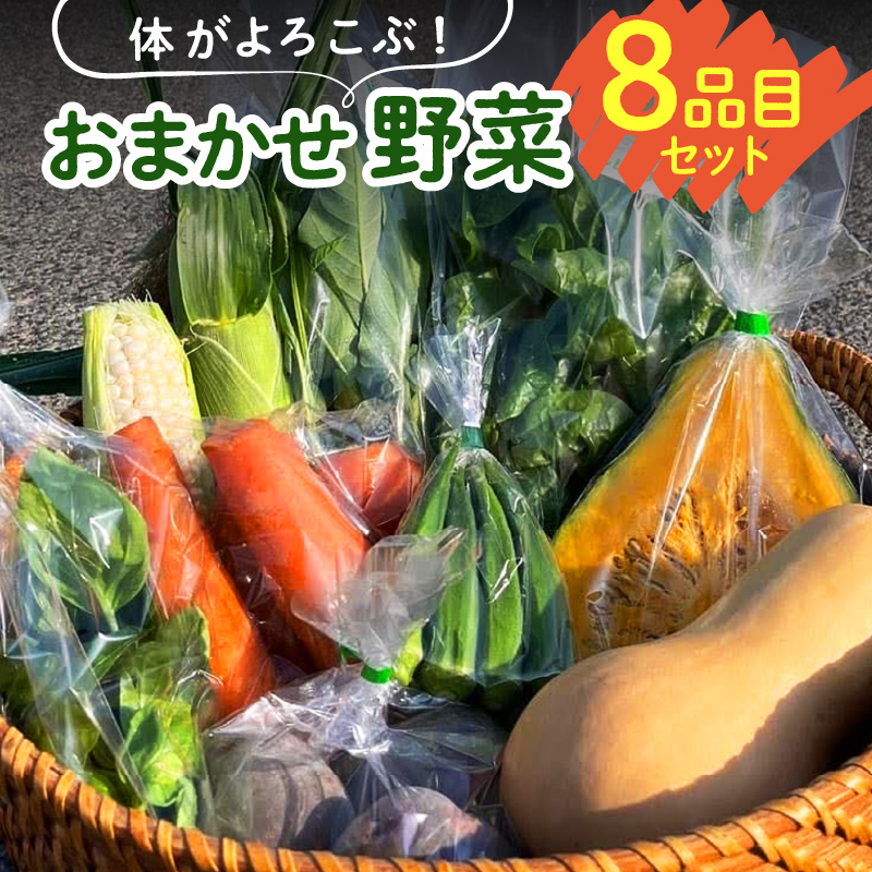 体がよろこぶ！おまかせ野菜８品目セット