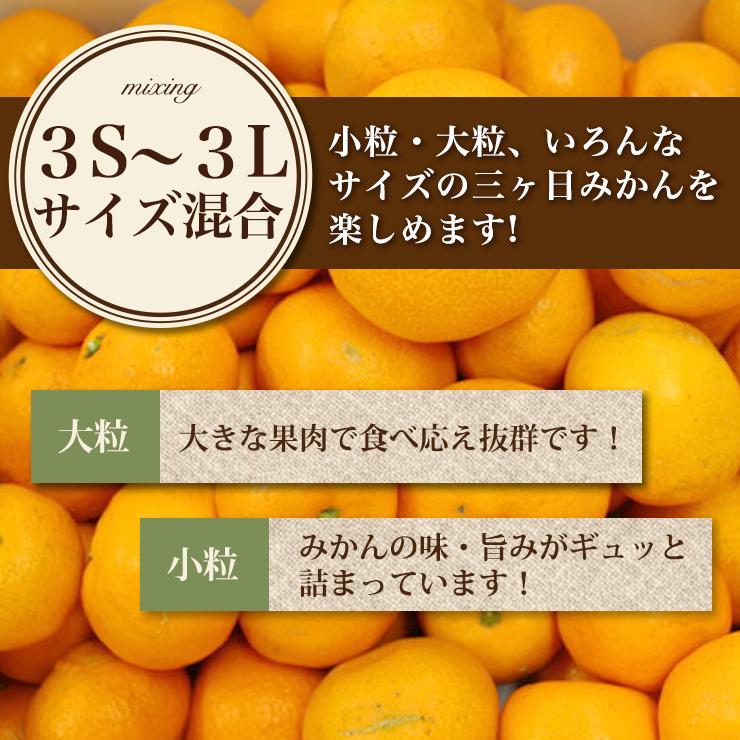  三ヶ日 早生 みかん 10kg どうまいらぁ！ みかん 送料無料 S 〜 3L サイズ不揃い 三ヶ日みかん 訳ありみかん 産地直送