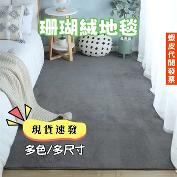 【臺灣現貨】地毯地墊 珊瑚絨地毯 毛絨地毯 臥室地毯 客廳地毯  房間地毯簡約現代 地毯北歐風大地墊 絲毛床邊墊 多尺寸