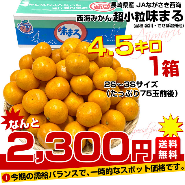 長崎県 JAながさき西海「味まる」2Sから3Sサイズ 超小粒4.5キロ 1箱（たっぷり75玉前後）送料無料　みかん ミカン 蜜柑 高糖度みかん