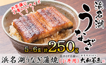 浜名湖うなぎ蒲焼（小丼用）計250g サイズ不揃い5～6袋