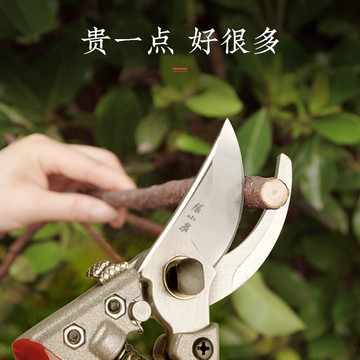 張小泉剪枝剪刀 sk5剪樹枝修果樹花剪園林綠化工具枝剪子園藝剪刀  【麥田印象】
