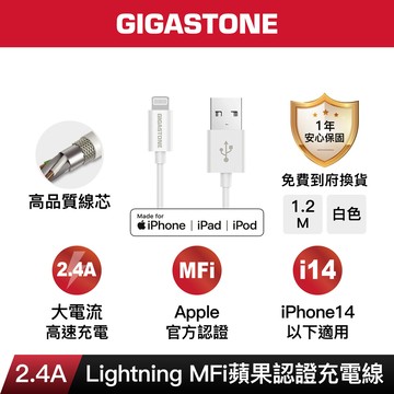 Gigastone Apple MFi 認證Lightning 1M傳輸充電線 C102