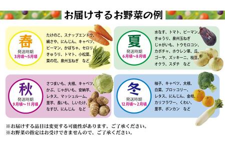 旬の野菜セット 詰め合わせ 7種類以上 国産 新鮮 お試し おまかせ お楽しみ