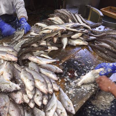 ふるさと納税 印南町 西山蒲鉾店 紀州名産「なんば焼」2枚箱入