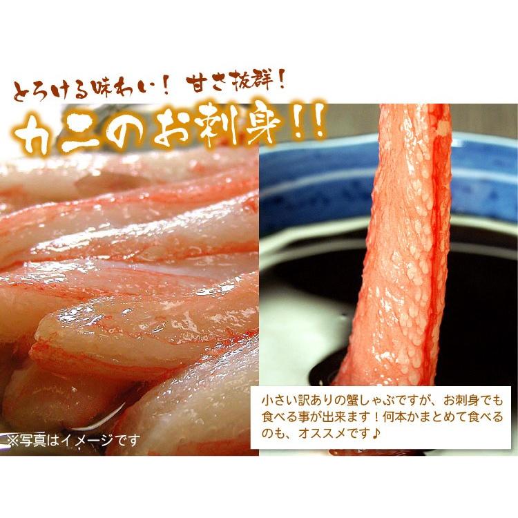 カニ生食可 訳あり 北海道産 生紅ズワイガニ かにしゃぶ  B品 折れ品 1kg 送料無料（沖縄宛は別途送料を加算）