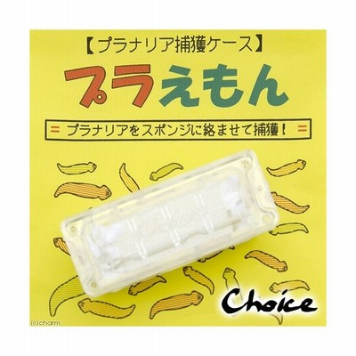 チョイス プラえもん プラナリア捕獲器 通販 Lineポイント最大0 5 Get Lineショッピング