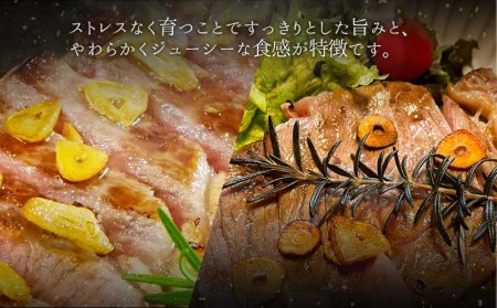 みやざきハーブ牛ステーキ食べ比べセット(サーロインステーキ・リブロースステーキ×各200g)　肉 牛 牛肉