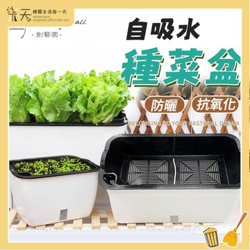 【台灣現貨】種菜盆 自動吸水花盆 超大號種植箱 蓄水花盆 懶人花盆 免澆水花盆 長型花盆 棉繩自吸水好養活