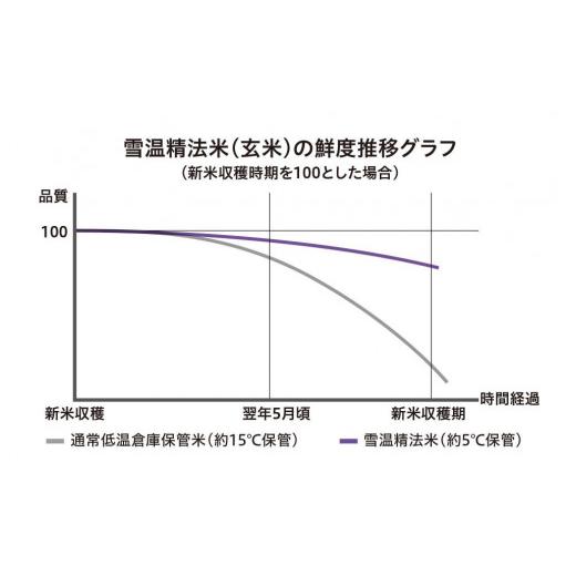 ふるさと納税 新潟県 雪温精法　新潟県産つきあかり　2kg×2袋