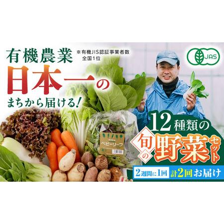 ふるさと納税 有機野菜 オーガニック 12種セット 詰め合わせ 野菜詰め合わせ 熊本県産有機野菜 山都町産有機野菜 産地直送 .. 熊本県山都町