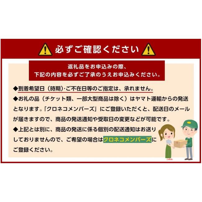 ふるさと納税 和歌山県 橋本市 柳フルーツ園　紀州手作りあんぽ柿　30個