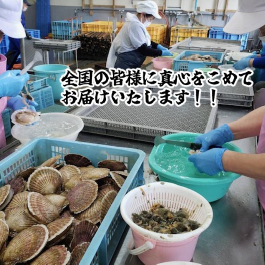 加熱用ホタテミックス 500g　帆立　産地直送　訳あり　加熱用　国産　ギフト　手土産　お土産　ほたて　お中元　お歳暮　プレゼント