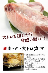 南マグロ大トロカマ2kg　加熱用　塩焼きや煮付けに