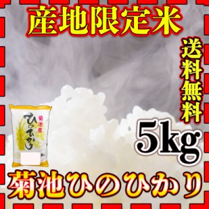 お米 米 5kg 白米 送料無料 熊本県 菊池産 ひのひかり あす着 新米 令和5年産 ヒノヒカリ 5kg1個 産地限定米 くまもとのお米