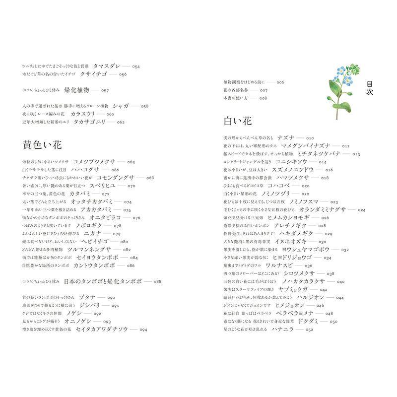 散歩道の図鑑 あした出会える雑草の花100