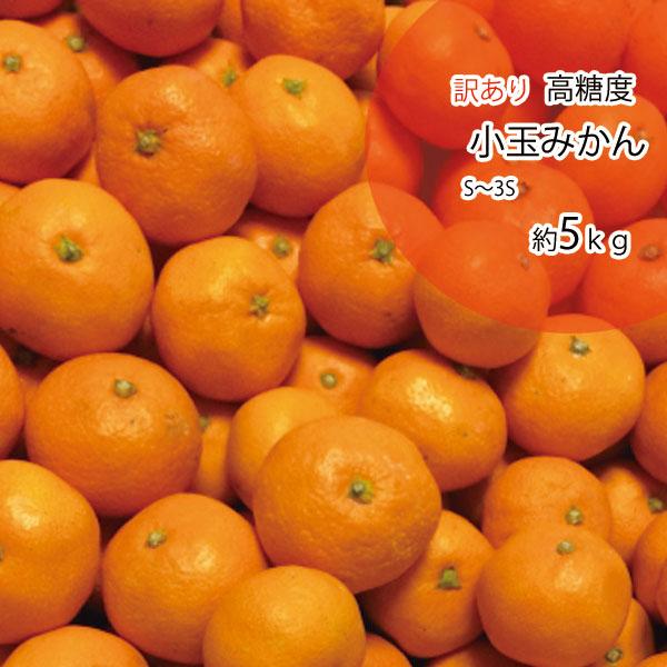 みかん 訳あり 箱買い 高糖度みかん 愛媛みかん 小玉厳選  糖度12度以上 約5ｋｇ 家庭用 送料無料