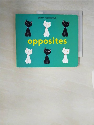 【書寶二手書T7／少年童書_ZQQ】Britta Teckentrup's Opposites_Britta Teckentrup