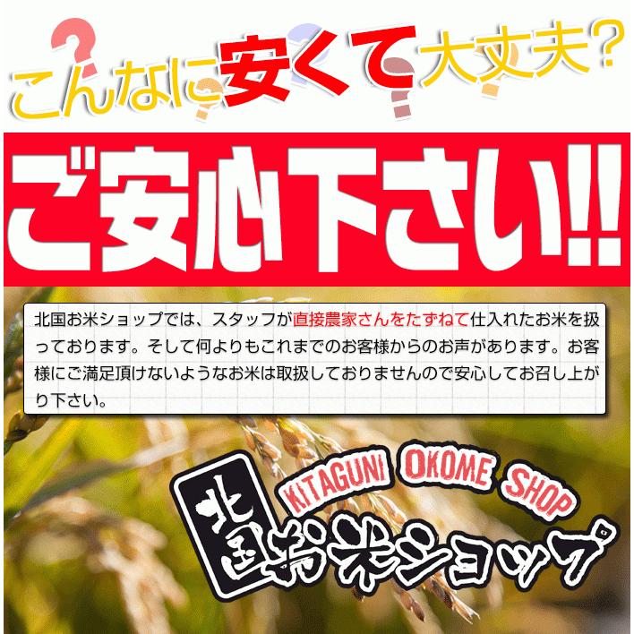 ブレンド米 20kg 生活応援 北国ライス 10kg×2袋 小分け 青森県産 岩手県産 複合米 国産 送料無料