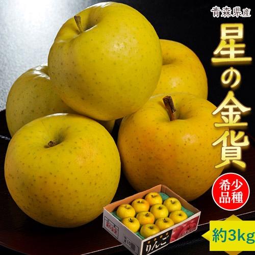 希少なりんご 『星の金貨』　青森県産　約3kg （9〜13玉）　特Ａ ※常温 送料無料