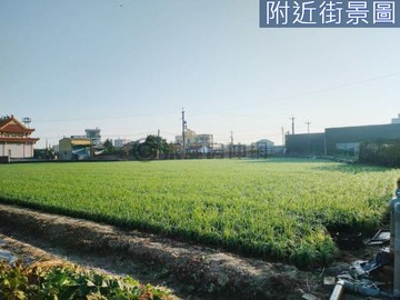 近台積電縣道170上面寬農地｜嘉義縣布袋鎮樹林頭