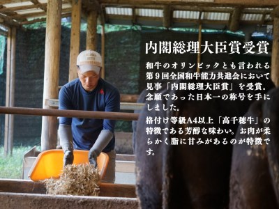  宮崎県産黒毛和牛A4等級以上 高千穂牛すね肉 800ｇ  C11