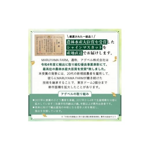 ふるさと納税 山梨県 山梨市 ＜2024年先行受付＞＜農林水産大臣賞受賞!!＞シャインマスカット 2房 1〜1.5kg