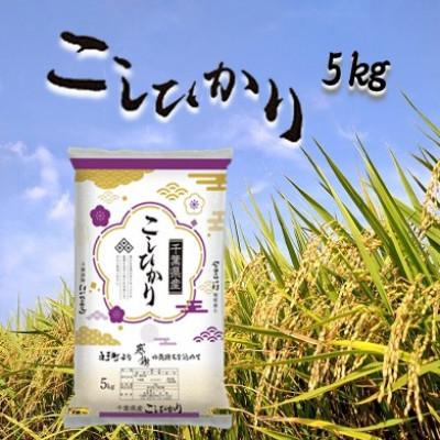 ふるさと納税 白子町 新米 令和5年産千葉県産コシヒカリ 精米 5kg (5kg×1袋)