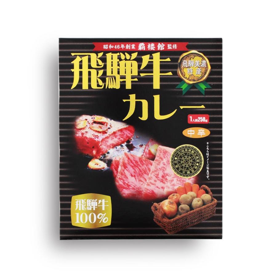 覇楼館 監修 飛騨牛100％ 飛騨牛カレー［中辛］（1人前） ビーフカレー 飛騨牛 牛肉 (ポスト投函-1)