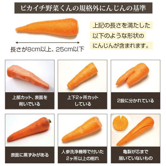 人参 無農薬人参 にんじん ジュース用 訳あり 8kg 国産 ニンジン にんじんジュース ゲルソン療法