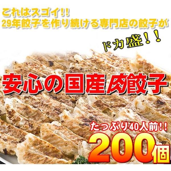 〔ワケあり〕安心の国産餃子200個 40人前