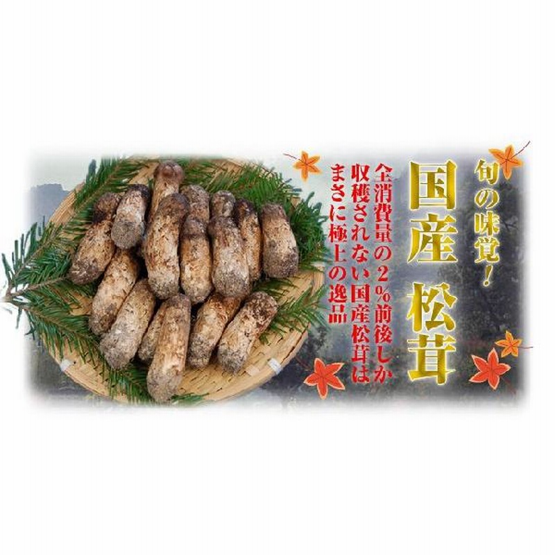 南信州豊丘産 松茸151g 【公式通販】