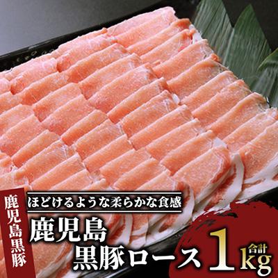 ふるさと納税 指宿市 鹿児島黒豚ロース1.0kg(012-260)