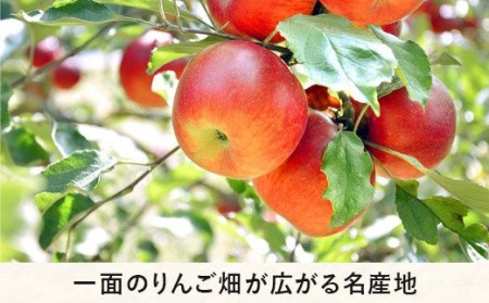 りんご サンふじ 小玉 5kg 丸茂ファーム 沖縄県への配送不可 2024年1月下旬頃から2024年4月上旬頃まで順次発送予定 エコファーマー認定 信州の環境にやさしい農産物認証 令和5年度収穫分 フルーツ リンゴ 林檎 農家直送 予約 15500円 長野県 飯綱町 [0283]