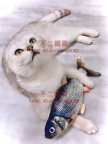 貓咪玩具自嗨電動逗貓棒貓貓啃咬解悶幼貓磨牙用品魚仿真會動【不二雜貨】