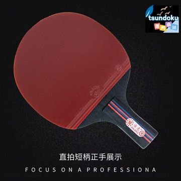 【專業高彈粘性】乒乓球拍 橫拍 比賽級球拍 十星球拍 長柄球拍 加重型設計 高彈力反膠 快速旋轉 成人專業訓練 競技比賽首選