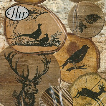 德國 IHR-33*33cm餐巾紙-原野深林(木紋場景)