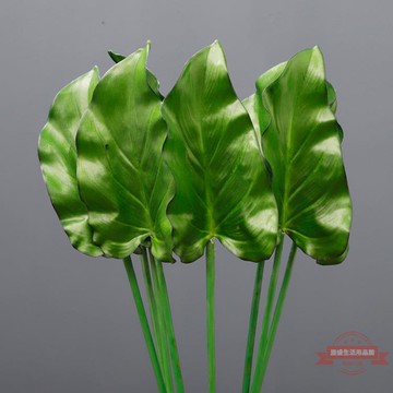 仿真馬蹄葉 室內軟裝插花葉子配材 仿真植物單片葉子 觀音葉