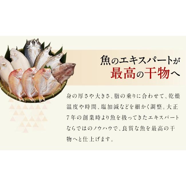 ふるさと納税 福岡県 古賀市 生から開いた一夜干しセット 5種9枚　 (株)アキラ・トータルプランニング