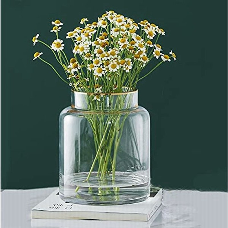 花瓶 ガラス 透明 花器 フラワーベース ガラスベース ガラスボトル アレンジ インテリア 水栽培 生け花 造花 おしゃれ シンプル インテ 通販 Lineポイント最大0 5 Get Lineショッピング