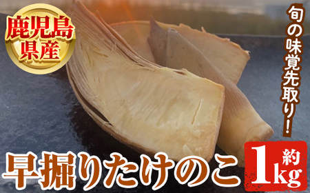 鹿児島県産 早掘りたけのこ(約1kg) 国産 野菜 たけのこ タケノコ 筍 旬 煮物 水煮 天ぷら つくだ煮 期間限定 7-17