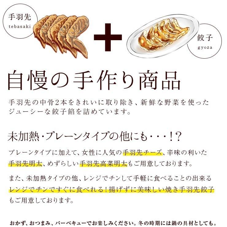 ギフト 高級 おつまみ お肉 食品 おつまみ 手羽先チーズ 20本入 手羽チーズ 冷凍 送料無料 ギフトボックス入