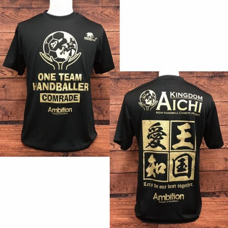 お値下げしました( ¨̮ )ハンドボール 愛知県選抜 Tシャツレア