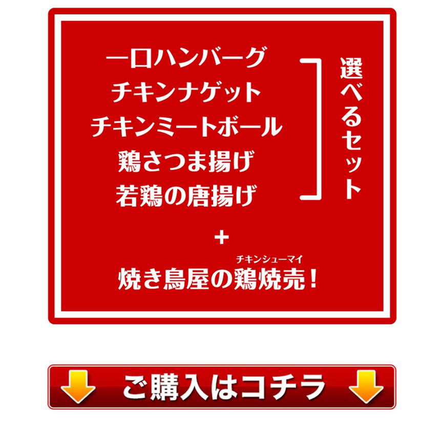 ビッグチキン焼売と選べるメガ盛り惣菜2パックセット