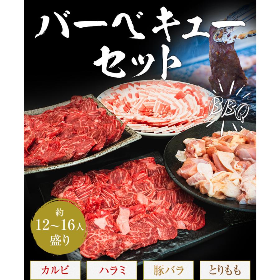 バーベキューセット 12-16人盛 BBQ 焼肉セット カルビ ハラミ 豚バラ とりもも 3.2kg 送料無料 食品 牛肉 メガ盛り 焼き肉 焼肉用 お肉 肉