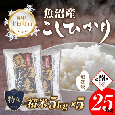 ふるさと納税 十日町市 無洗米  魚沼産 コシヒカリ 25kg 美味い炊き方ガイド付