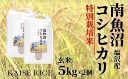 南魚沼産塩沢コシヒカリ（特別栽培米８割減農薬）玄米５ｋｇ×２個