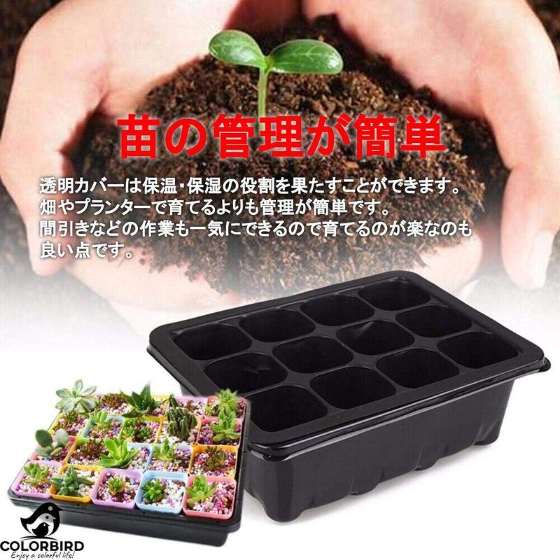 COLORBIRD 種まきポット 12穴 3セット 花 苗 ハーブ 植木鉢 おしゃれ 園芸用品 種まき 種 ブラック